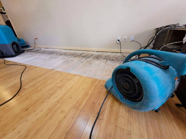 Professional Structural Drying technician working in Stoughton, MA